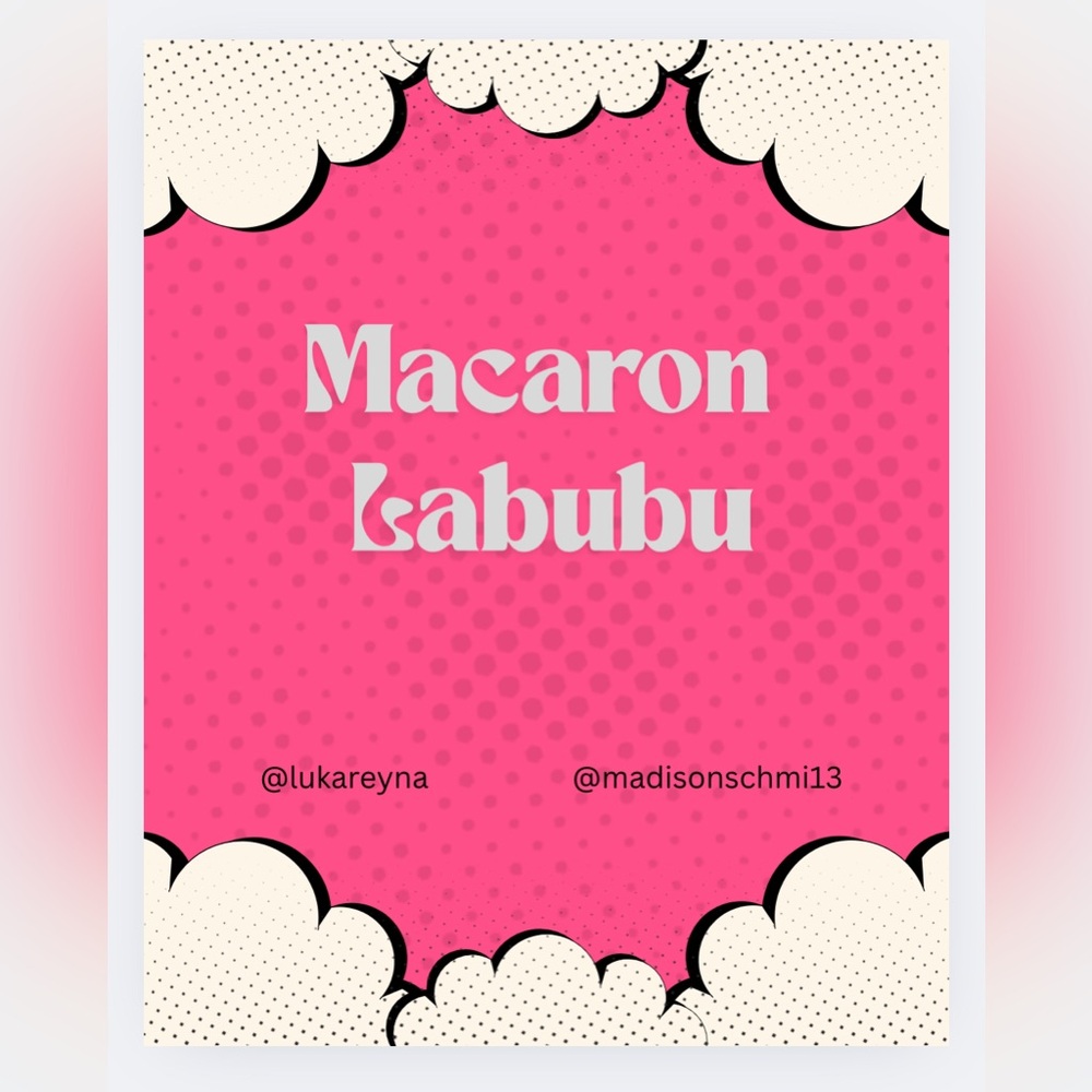 Exciting Macaron Labubu